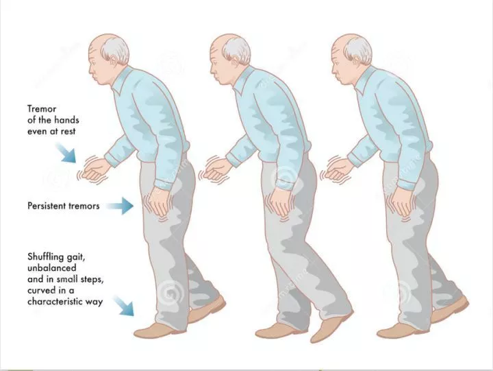 1631617621239290.jpg 33.jpg