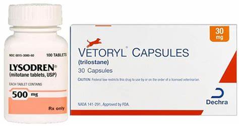 1649860099740783.jpeg OIP-C.jpeg