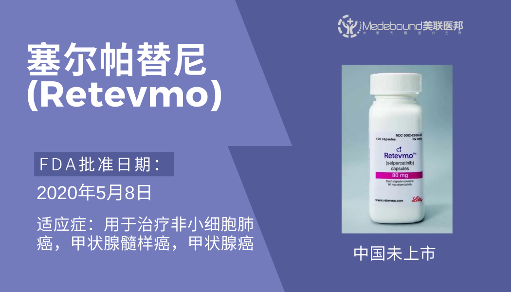 Pastel Purple Royal Purple Color Blocks Fitness QR Code Business Card.png