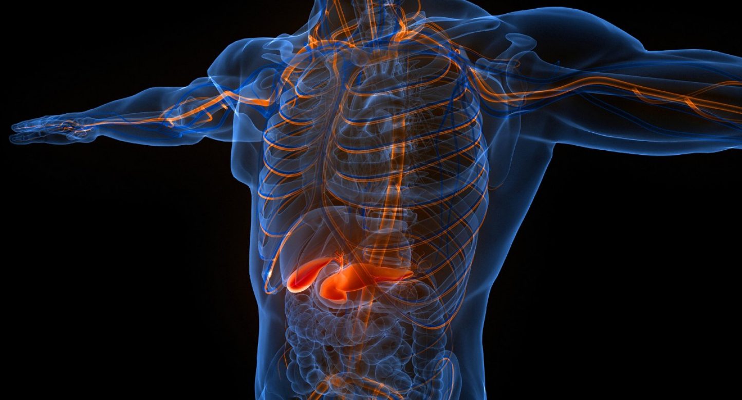 1688540280921907.jpg 胰腺癌1.jpg