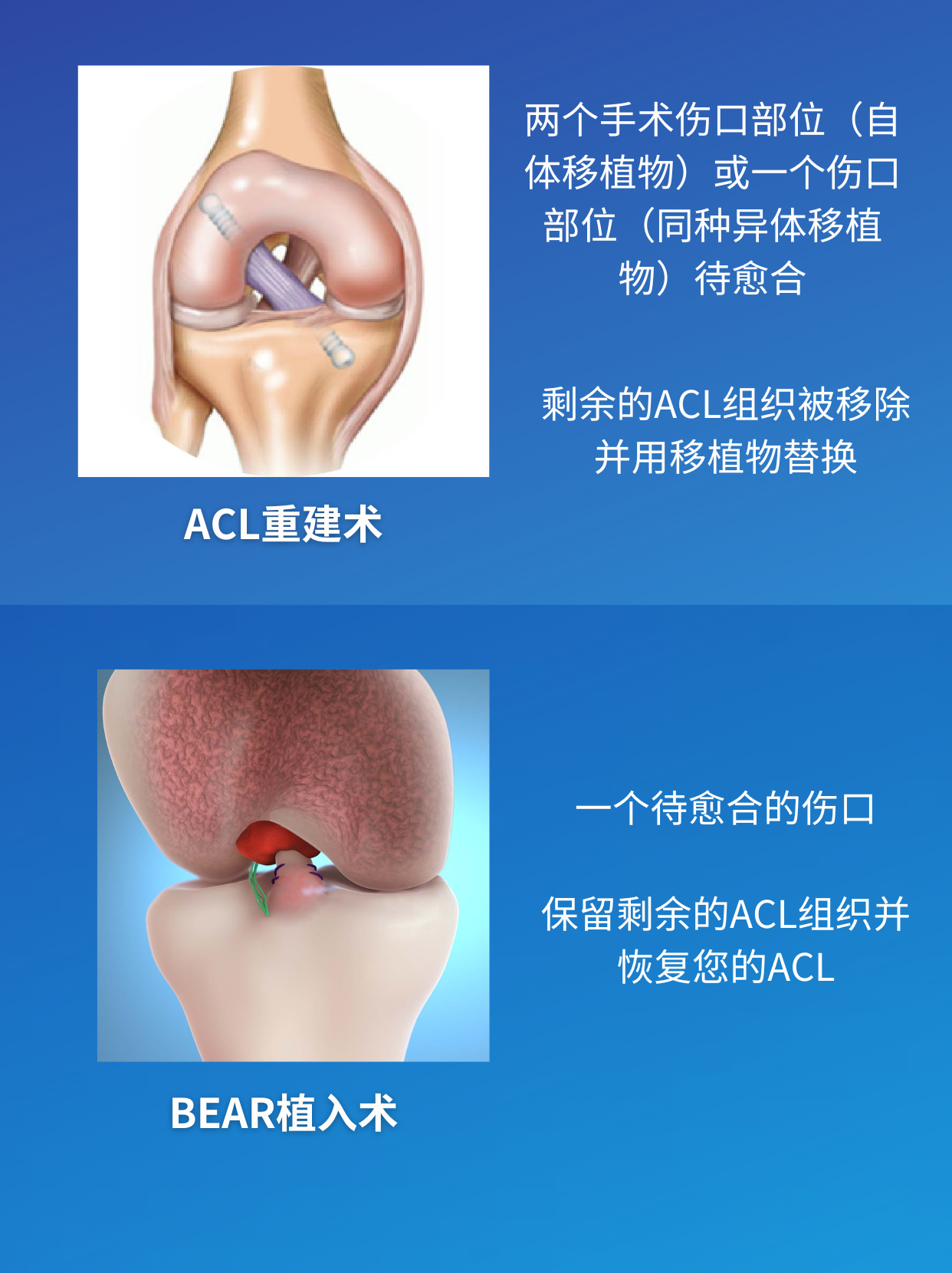 1698142347985502.png 1698142347985502.png