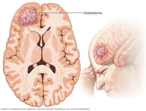 1698920537890413.png 图片.png