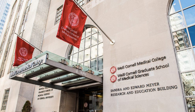 1705302396222753.png image.png