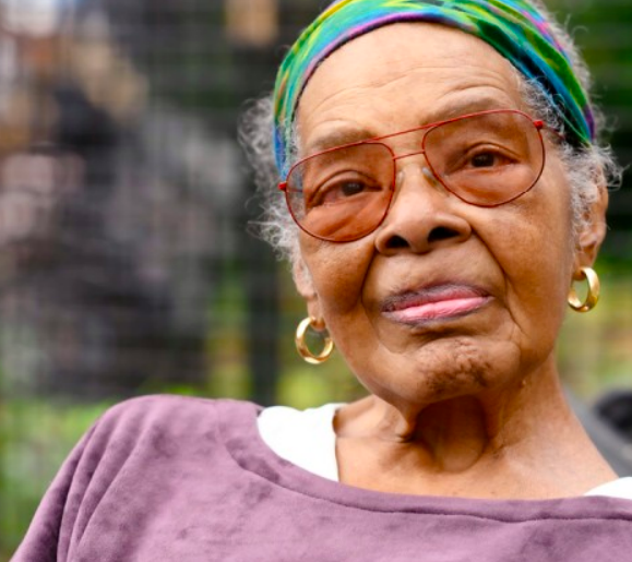 Screen Shot 2024-01-19 at 3.49.41 PM.png