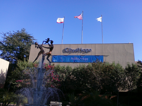 1706186146101742.png image.png