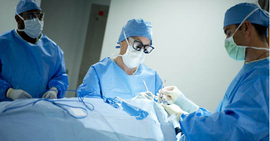 1717412621599391.jpg 1717412617826.jpg