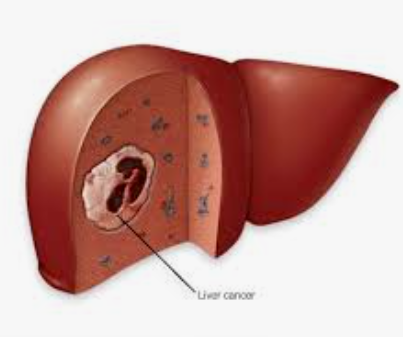 1719206294419517.png image.png