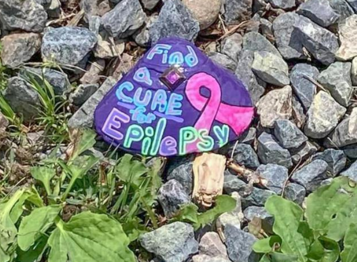 1723808564911999.png image.png