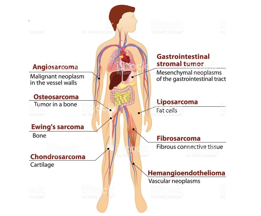 1730898369816991.png 84a919b67f706caf7c36453489c07ee.png