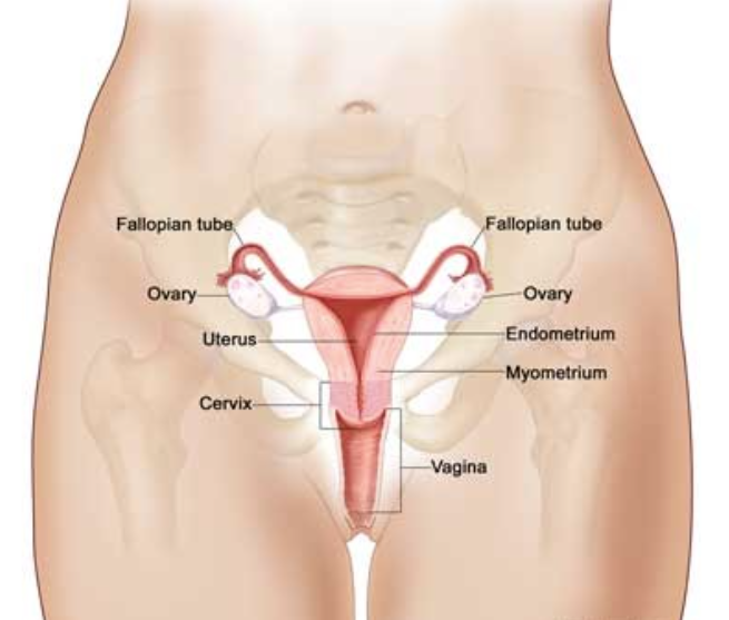 1735883389737842.png image.png