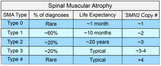 1762851249259544.png image.png