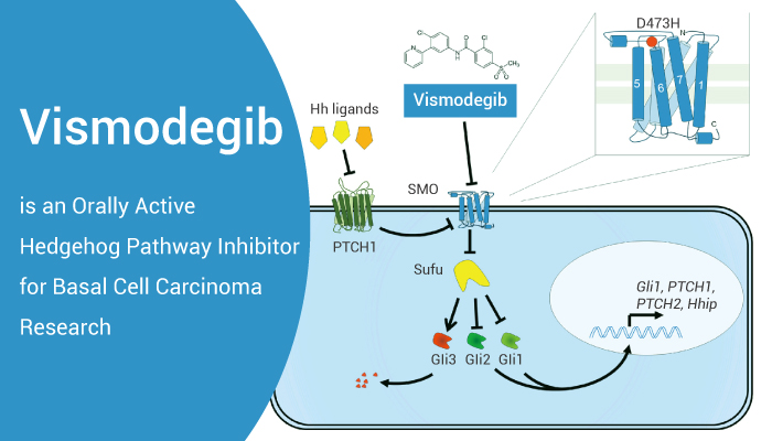 Vismodegib髓母细胞瘤药物.jpg