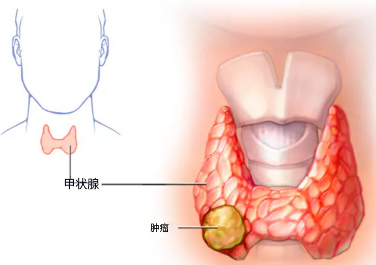 1775782779307512.png image.png