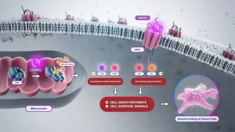 Dordaviprone mechanism of action