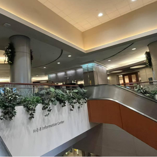 MD安德森宫颈癌治疗案例：从协和到安德森，症状显著缓解