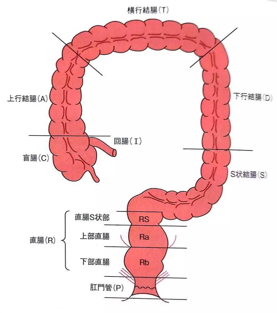 国内最好的结肠癌医院排名 | 全国治疗癌症权威医院盘点