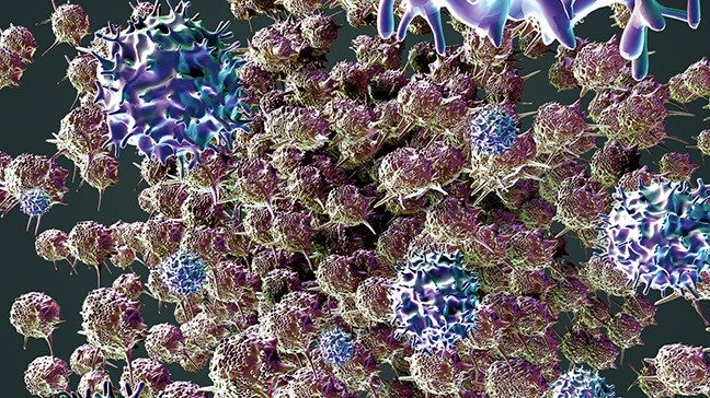 MD安德森骨髓瘤新疗法：BCMA靶向治疗新药物与疗法