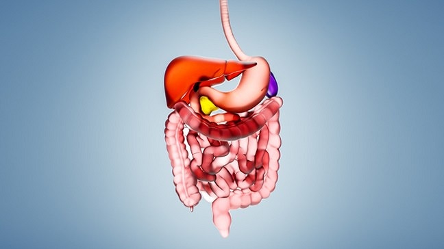 出国看病首选美国MD安德森推出GIST新疗法和新药临床研究