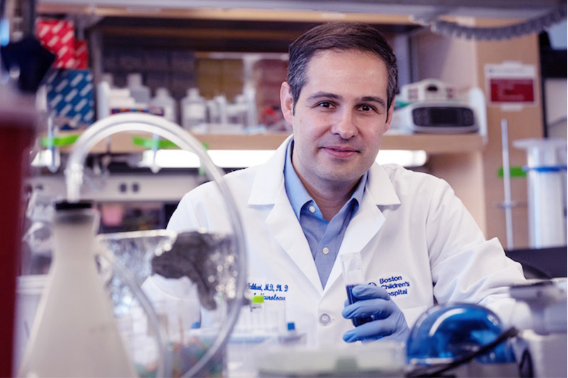 波士顿儿童医院攻坚罕见病遗传性痉挛性截瘫，小分子药物与基因疗法点亮生命希望