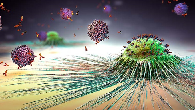 突破胰腺癌治疗难题：代谢和炎症途径的综合抑制与肿瘤生长控制