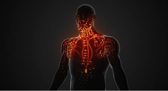 预防KRAS突变的胰腺癌和结直肠癌复发的新疗法